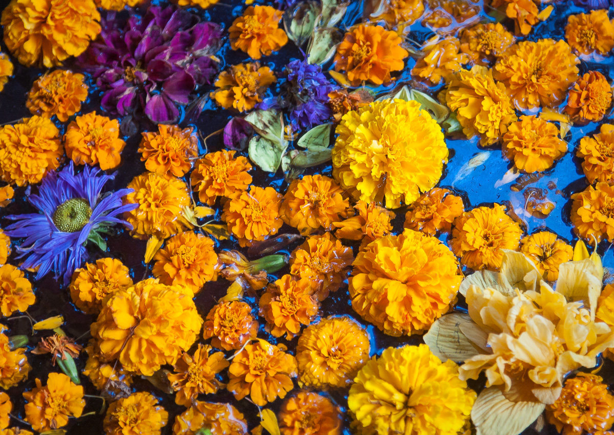 Непал, праздничные цветы